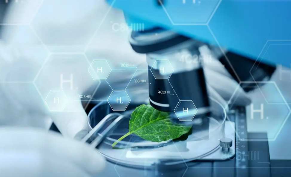 合肥医学翻译，医学英文翻译所需要注意的技巧