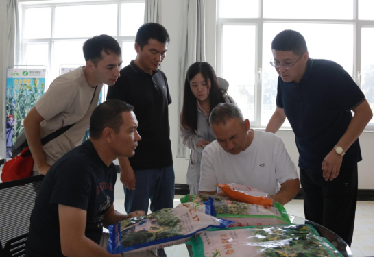 DB旗舰厅翻译负责人陪同乌兹别克斯坦ZEA种子公司代表团至金岭种业考察交流