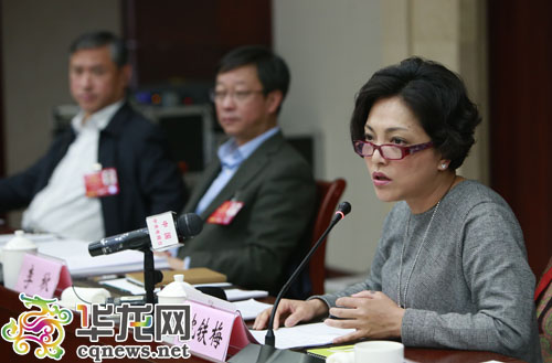 全国人大代表、重庆市川剧院院长沈铁梅在代表小组会议上发言。 特派记者 李文科 摄