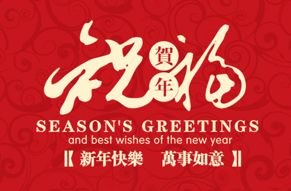 合肥翻译公司，安徽DB旗舰厅翻译